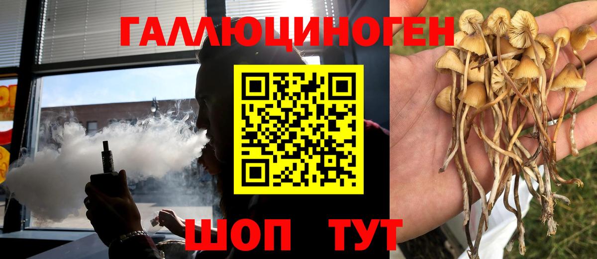 Псилоцибиновые грибы мухоморы  Галлюциногенные грибы Psilocybe  купить закладку  Вход с VPN  Соль-Илецк 